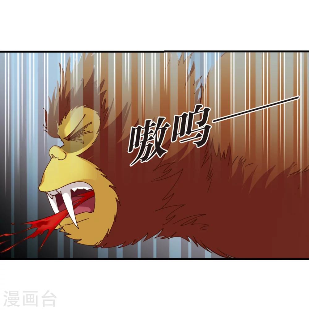 风起苍岚韩漫全集-第302话 孤注一掷3无删减无遮挡章节图片 