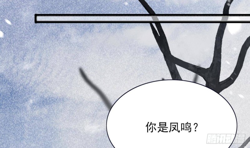凤于九天韩漫全集-第131话 神秘人与烈儿无删减无遮挡章节图片 