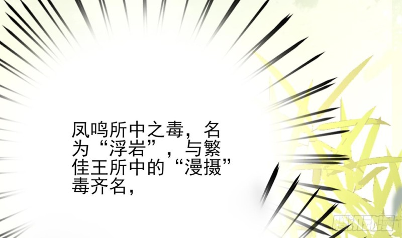 凤于九天韩漫全集-第62话 商量大婚无删减无遮挡章节图片 