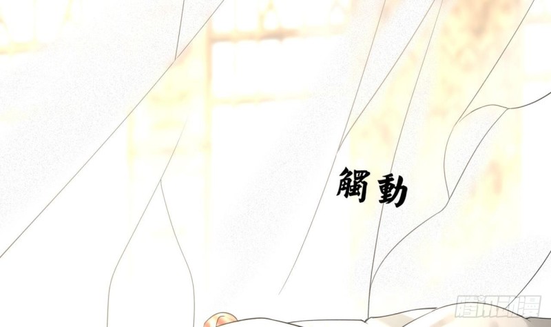 凤于九天韩漫全集-第79话 身不由己无删减无遮挡章节图片 