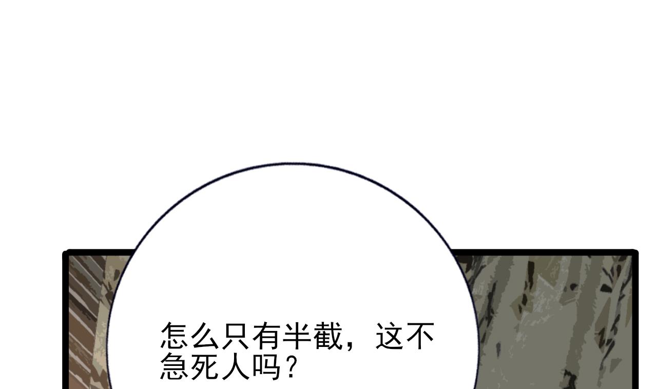 凤于九天韩漫全集-第234话 军报无删减无遮挡章节图片 