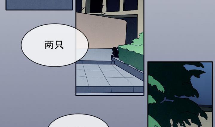 拂晓的花嫁韩漫全集-第016话 新的人生 5无删减无遮挡章节图片 