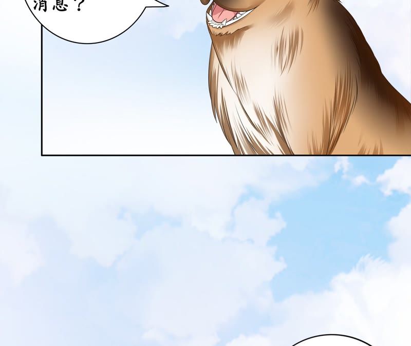 隔壁有只桃花妖韩漫全集-第93话 碧落之心无删减无遮挡章节图片 
