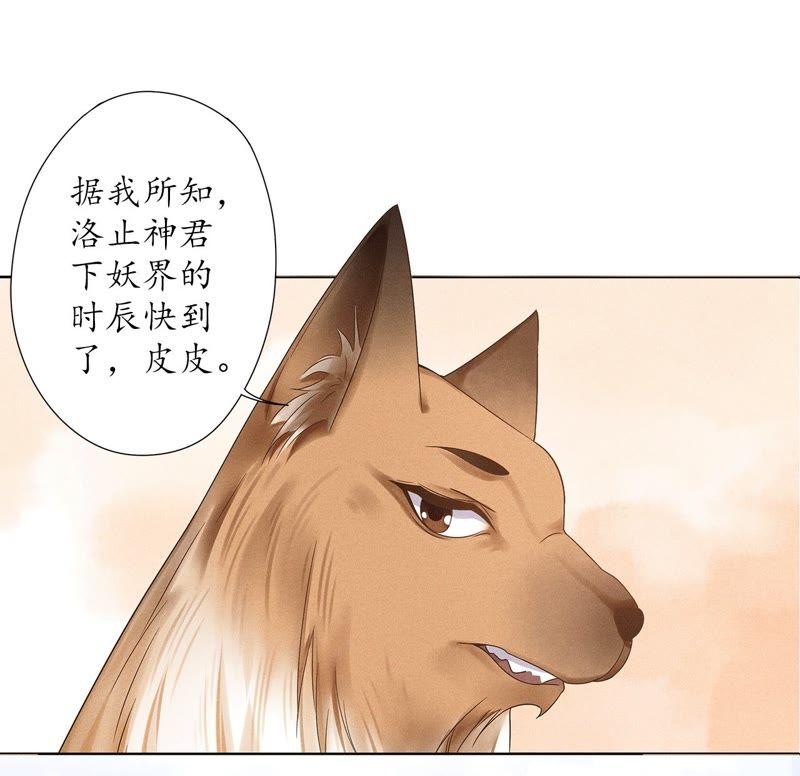 隔壁有只桃花妖韩漫全集-第95话 神临妖界无删减无遮挡章节图片 