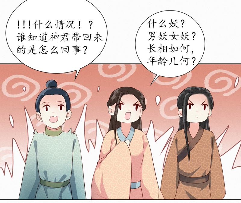 隔壁有只桃花妖韩漫全集-第103话 神君带回一只妖无删减无遮挡章节图片 