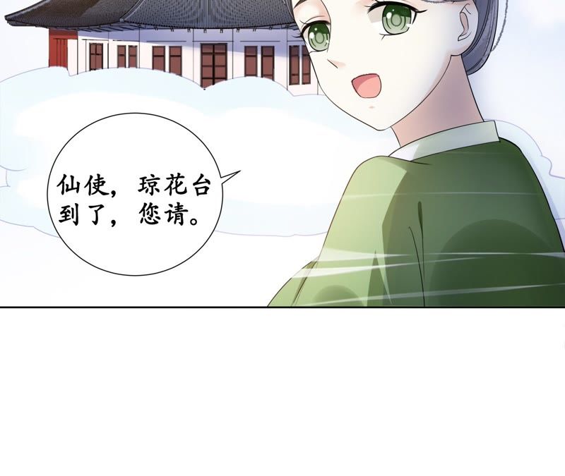 隔壁有只桃花妖韩漫全集-第108话 贺寿无删减无遮挡章节图片 
