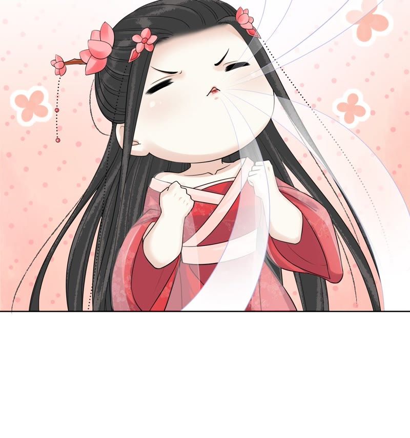 隔壁有只桃花妖韩漫全集-第108话 贺寿无删减无遮挡章节图片 