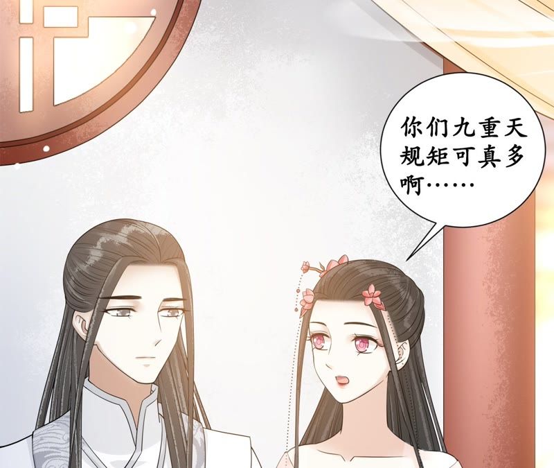 隔壁有只桃花妖韩漫全集-第108话 贺寿无删减无遮挡章节图片 