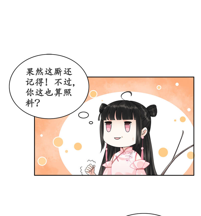 隔壁有只桃花妖韩漫全集-第6话 变形计之桃花要回家无删减无遮挡章节图片 