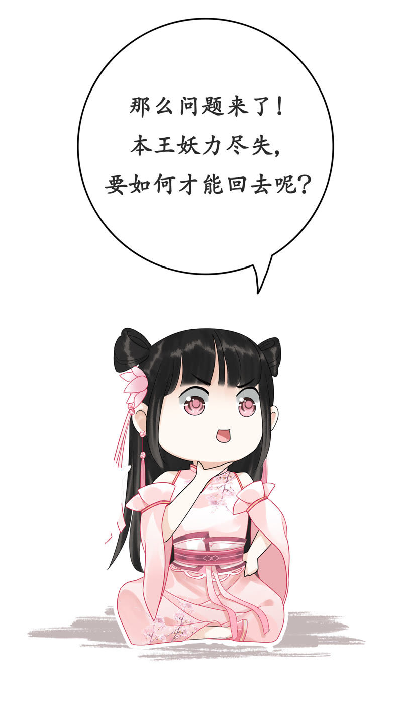 隔壁有只桃花妖韩漫全集-第6话 变形计之桃花要回家无删减无遮挡章节图片 
