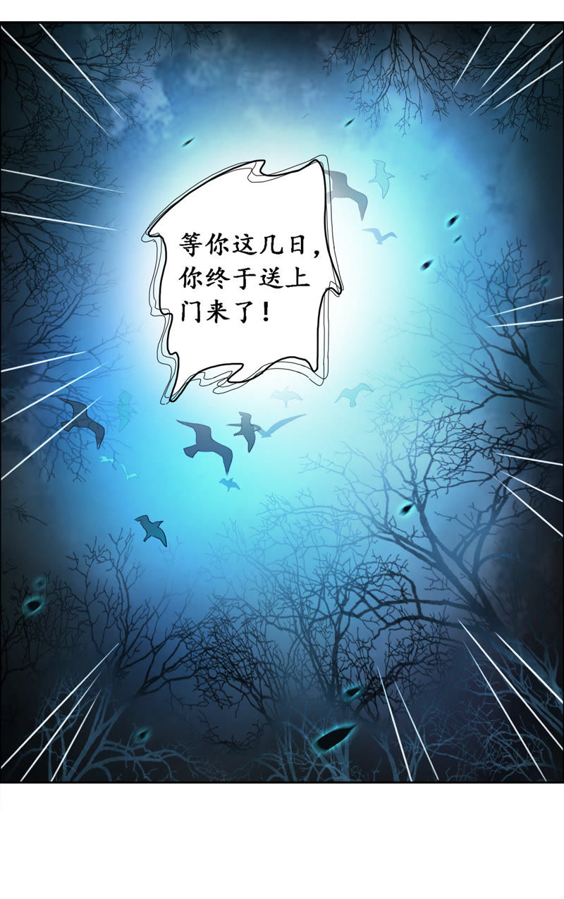隔壁有只桃花妖韩漫全集-第13话 大王！和尚被抓走啦！无删减无遮挡章节图片 