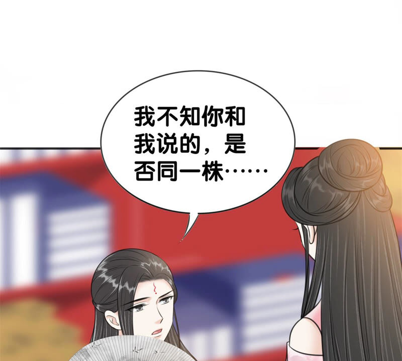 隔壁有只桃花妖韩漫全集-第182话 祭奠故人无删减无遮挡章节图片 