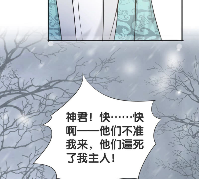 隔壁有只桃花妖韩漫全集-第182话 祭奠故人无删减无遮挡章节图片 