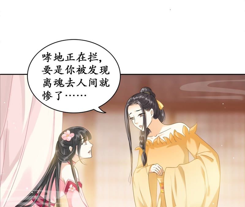 隔壁有只桃花妖韩漫全集-第31话 桃花的心意无删减无遮挡章节图片 