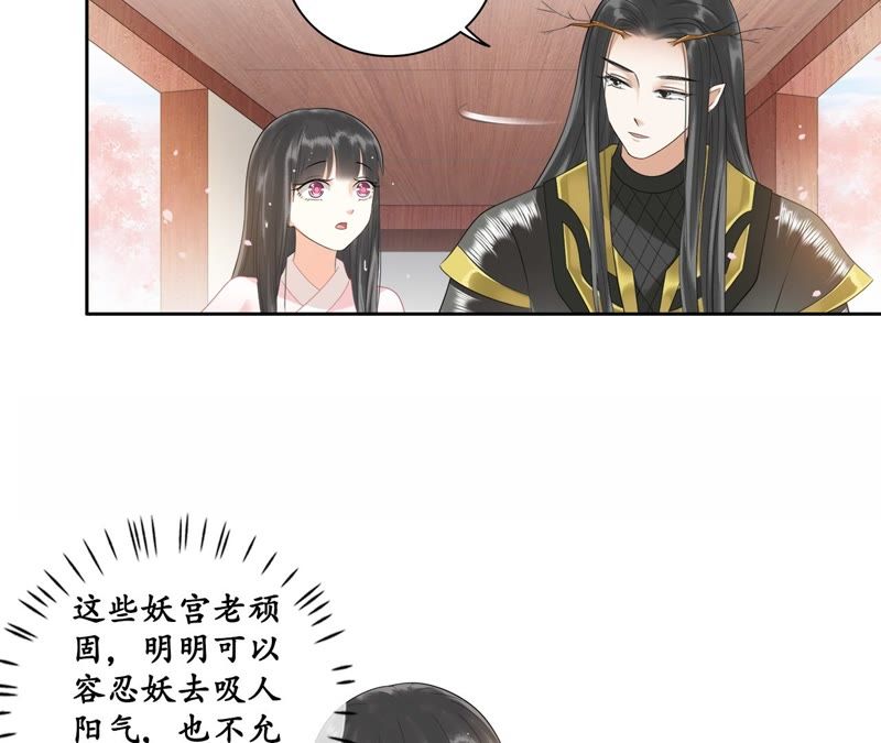 隔壁有只桃花妖韩漫全集-第41话 知晓错误的真相无删减无遮挡章节图片 