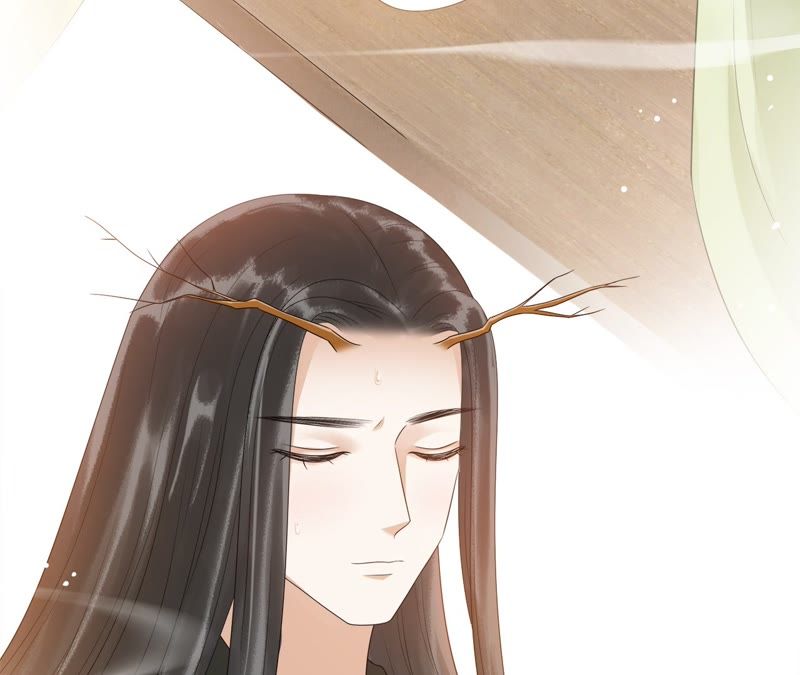 隔壁有只桃花妖韩漫全集-第53话 这妖宫缺一位女主人无删减无遮挡章节图片 