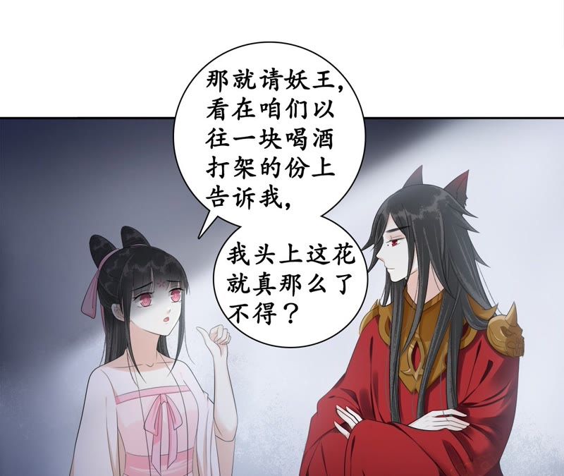 隔壁有只桃花妖韩漫全集-第67话 隐香花的秘密无删减无遮挡章节图片 