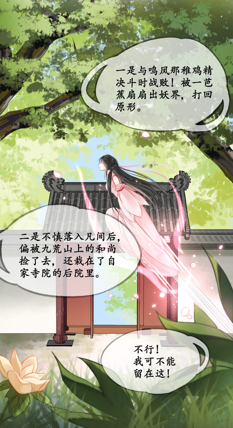 隔壁有只桃花妖韩漫全集-第2话 阿弥陀佛，你虽丑无删减无遮挡章节图片 