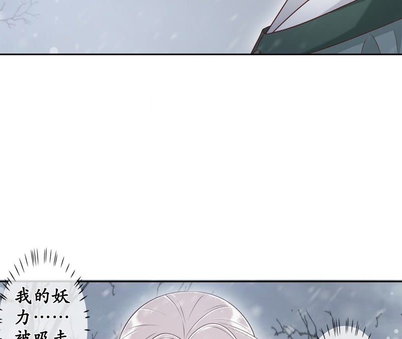 隔壁有只桃花妖韩漫全集-第87话 以妖血为媒无删减无遮挡章节图片 