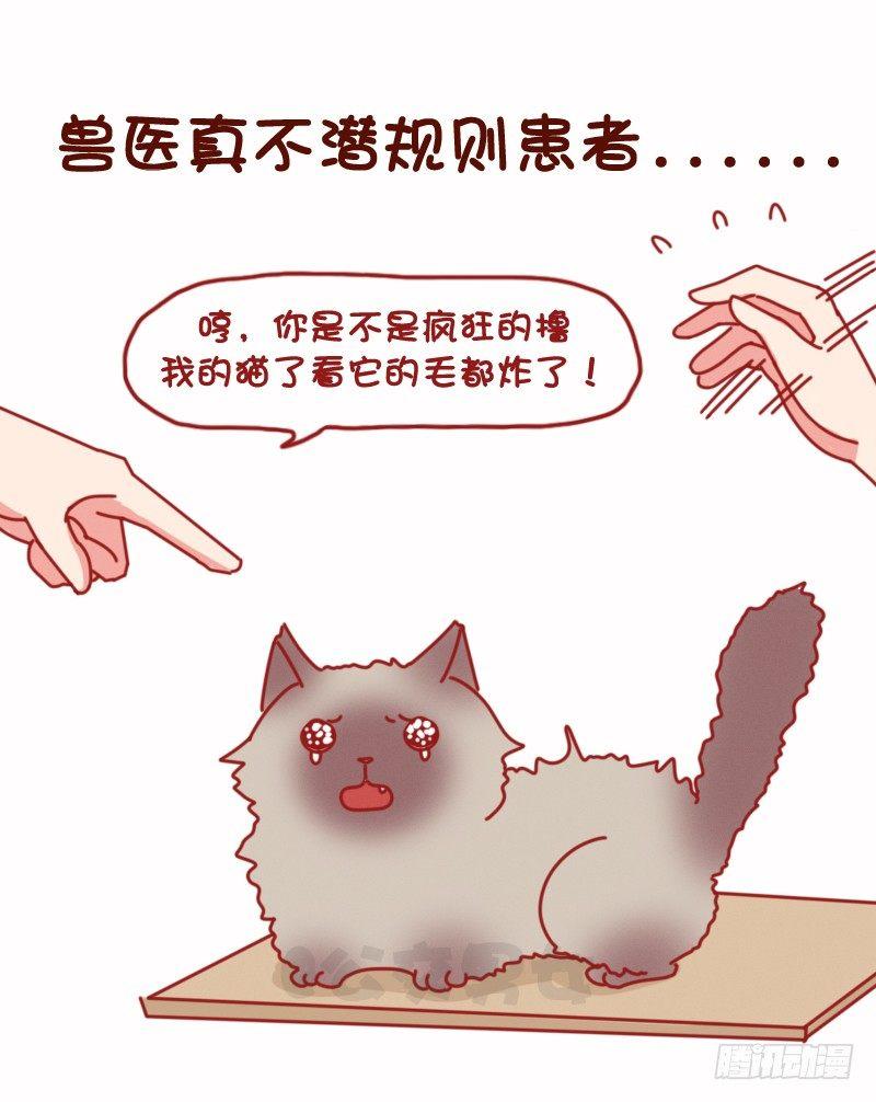 公交男女爆笑漫画韩漫全集-1075-各行各业鲜为人知的秘密无删减无遮挡章节图片 