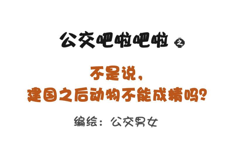 公交男女爆笑漫画韩漫全集-不是说，建国之后动物不能成精吗？无删减无遮挡章节图片 