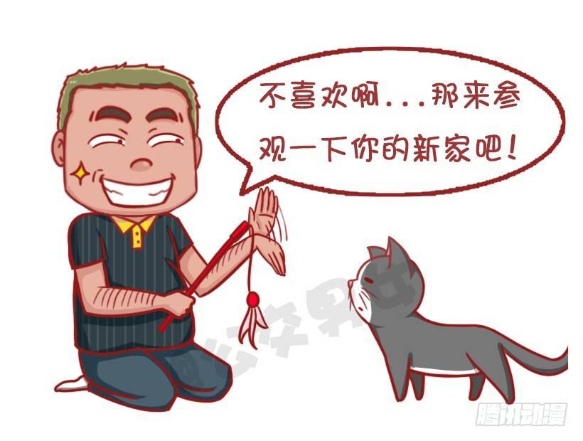 公交男女爆笑漫画韩漫全集-不是说，建国之后动物不能成精吗？无删减无遮挡章节图片 