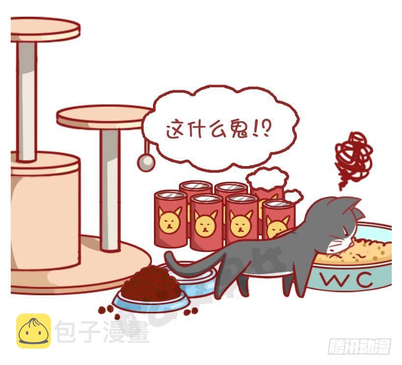 公交男女爆笑漫画韩漫全集-不是说，建国之后动物不能成精吗？无删减无遮挡章节图片 