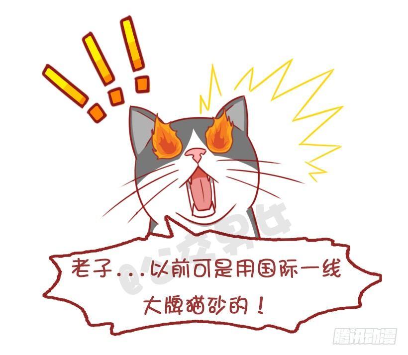 公交男女爆笑漫画韩漫全集-不是说，建国之后动物不能成精吗？无删减无遮挡章节图片 