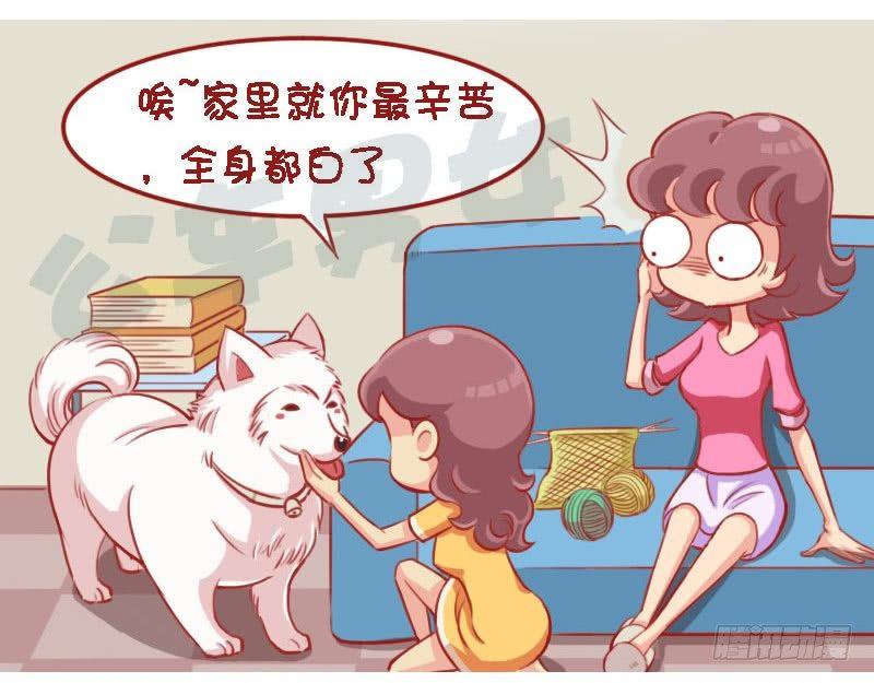 公交男女爆笑漫画韩漫全集-辛苦无删减无遮挡章节图片 