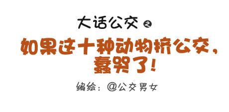 公交男女爆笑漫画韩漫全集-257-十种动物挤公交无删减无遮挡章节图片 