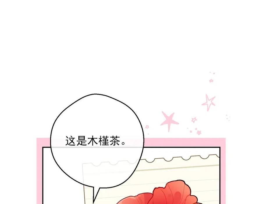 公爵夫人的红茶物语韩漫全集-第103话 木槿茶无删减无遮挡章节图片 