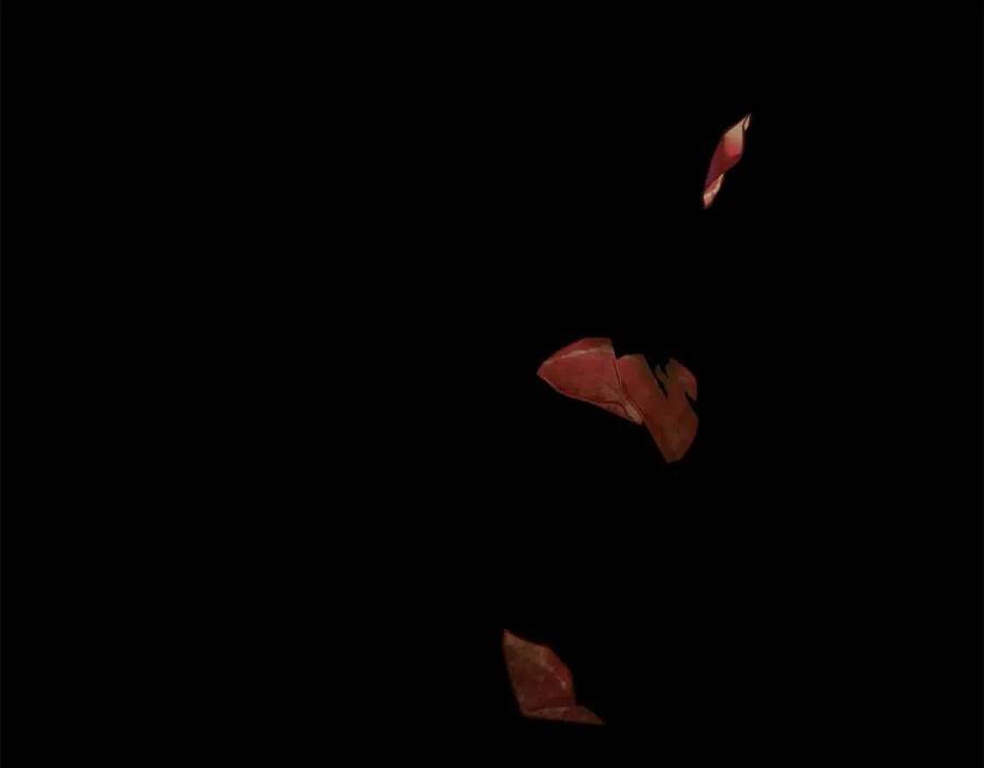 公爵夫人的红茶物语韩漫全集-第103话 木槿茶无删减无遮挡章节图片 