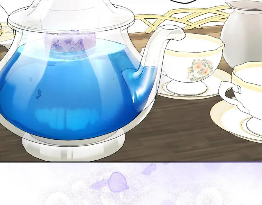 公爵夫人的红茶物语韩漫全集-第105话 闪闪发光无删减无遮挡章节图片 