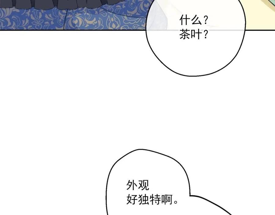 公爵夫人的红茶物语韩漫全集-第105话 闪闪发光无删减无遮挡章节图片 