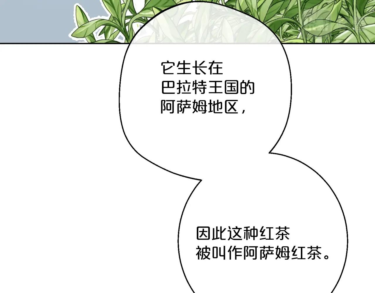 公爵夫人的红茶物语韩漫全集-第119话 违法经营？无删减无遮挡章节图片 