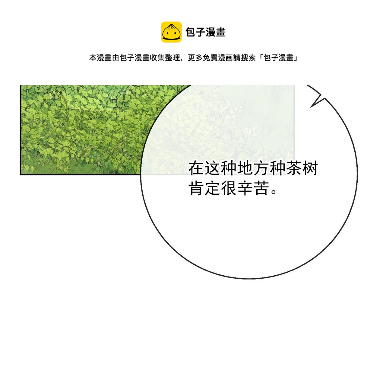 公爵夫人的红茶物语韩漫全集-番外2 被求婚了？无删减无遮挡章节图片 