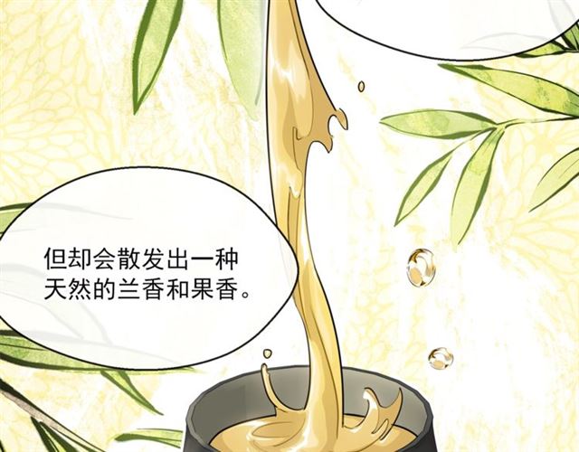 公爵夫人的红茶物语韩漫全集-第33话 道歉无删减无遮挡章节图片 