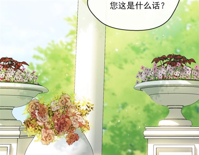 公爵夫人的红茶物语韩漫全集-第33话 道歉无删减无遮挡章节图片 