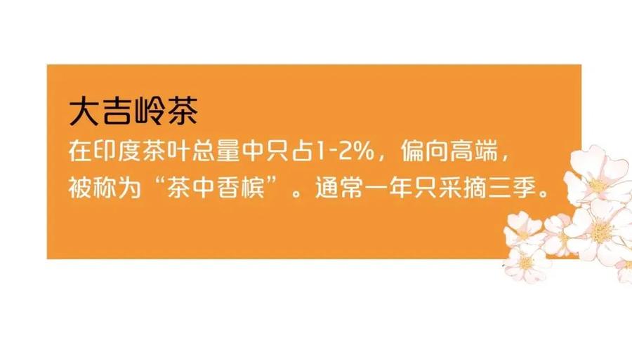 公爵夫人的红茶物语韩漫全集-第46话 大吉岭茶无删减无遮挡章节图片 