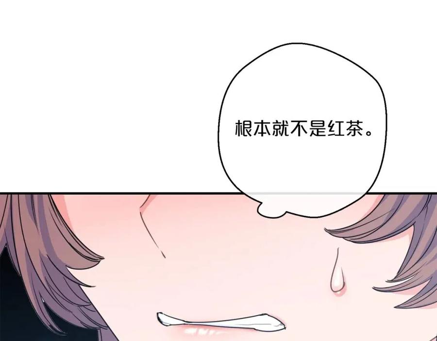 公爵夫人的红茶物语韩漫全集-第55话 冒牌红茶无删减无遮挡章节图片 