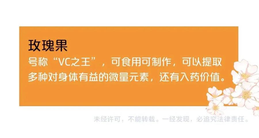 公爵夫人的红茶物语韩漫全集-第60话 玫瑰果无删减无遮挡章节图片 