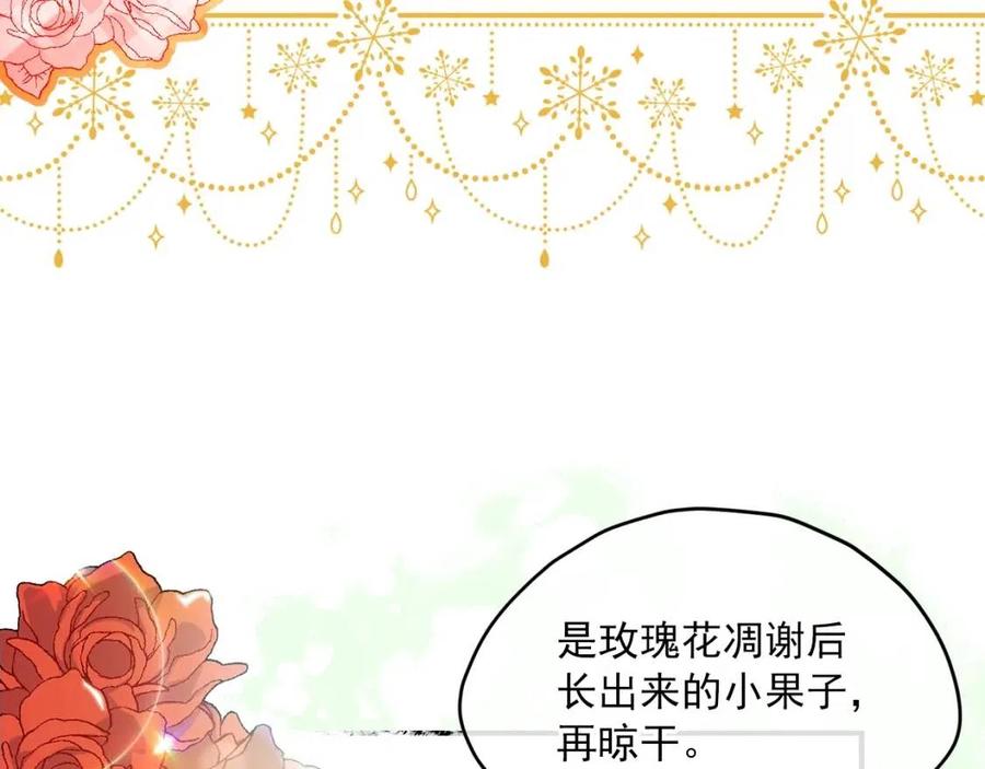公爵夫人的红茶物语韩漫全集-第60话 玫瑰果无删减无遮挡章节图片 