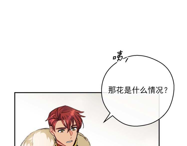 公爵夫人的红茶物语韩漫全集-第77话 红薯花无删减无遮挡章节图片 