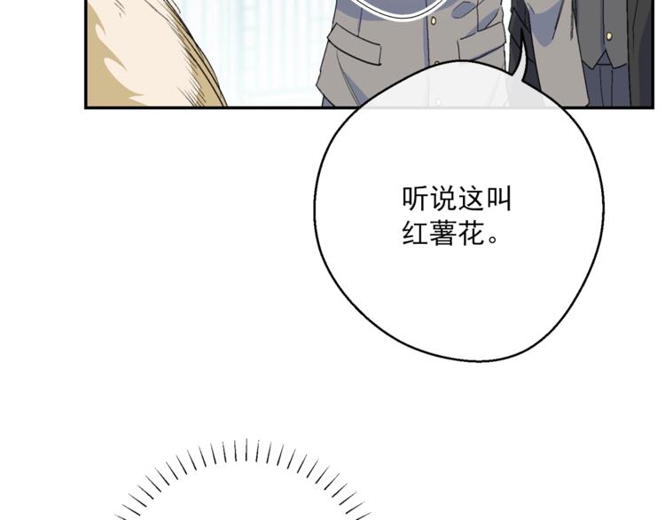 公爵夫人的红茶物语韩漫全集-第77话 红薯花无删减无遮挡章节图片 