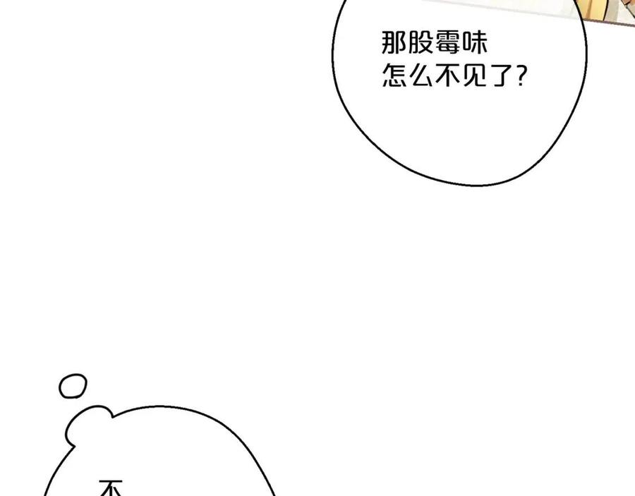 公爵夫人的红茶物语韩漫全集-第95话 打赌无删减无遮挡章节图片 