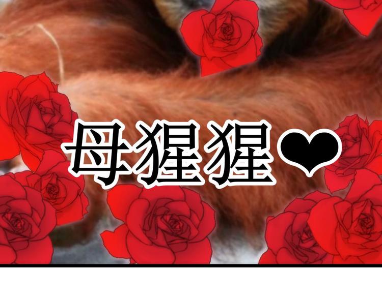 攻略妖男的一万种姿势韩漫全集-第11话 成为妖男的奴隶无删减无遮挡章节图片 
