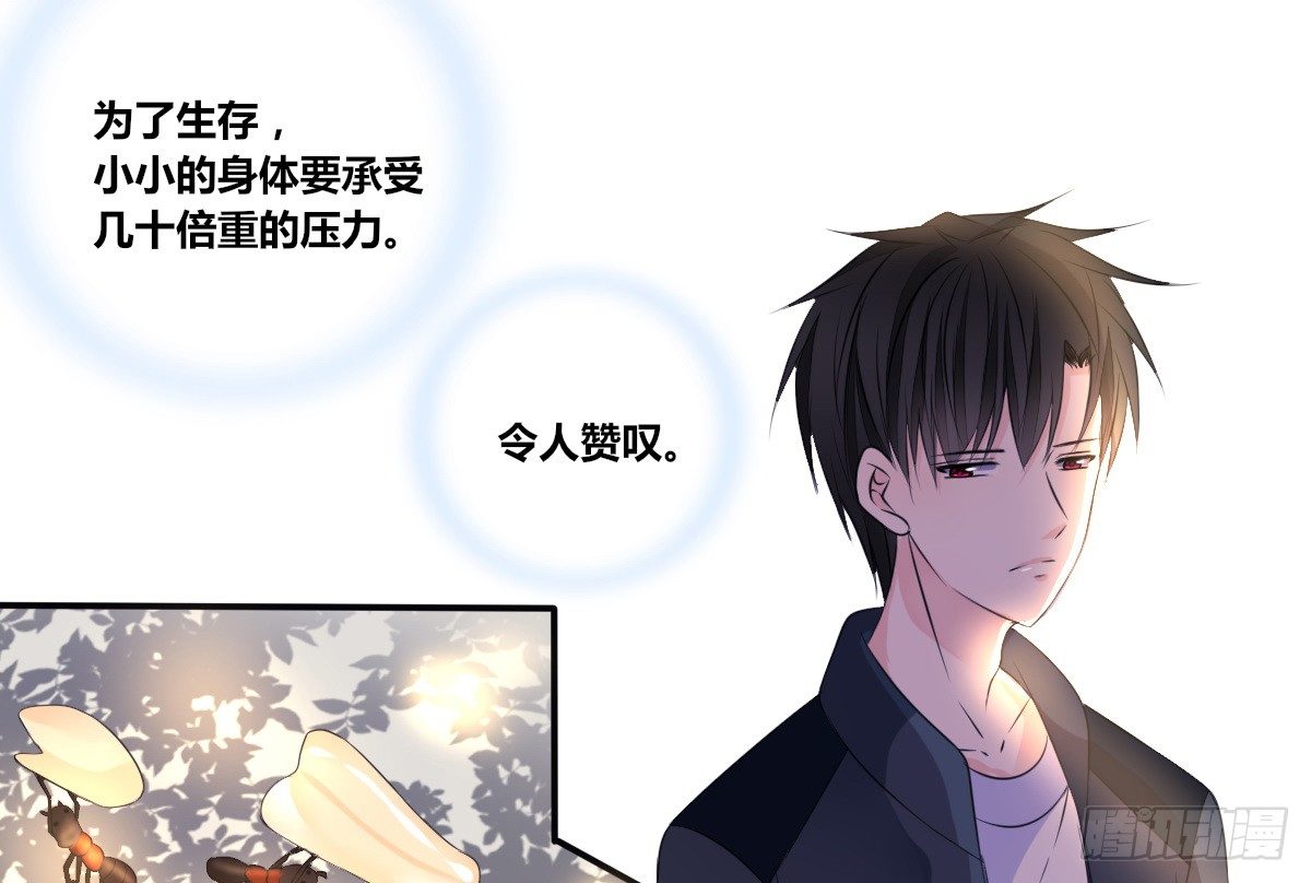 公主的女王命韩漫全集-零灵是谁？无删减无遮挡章节图片 