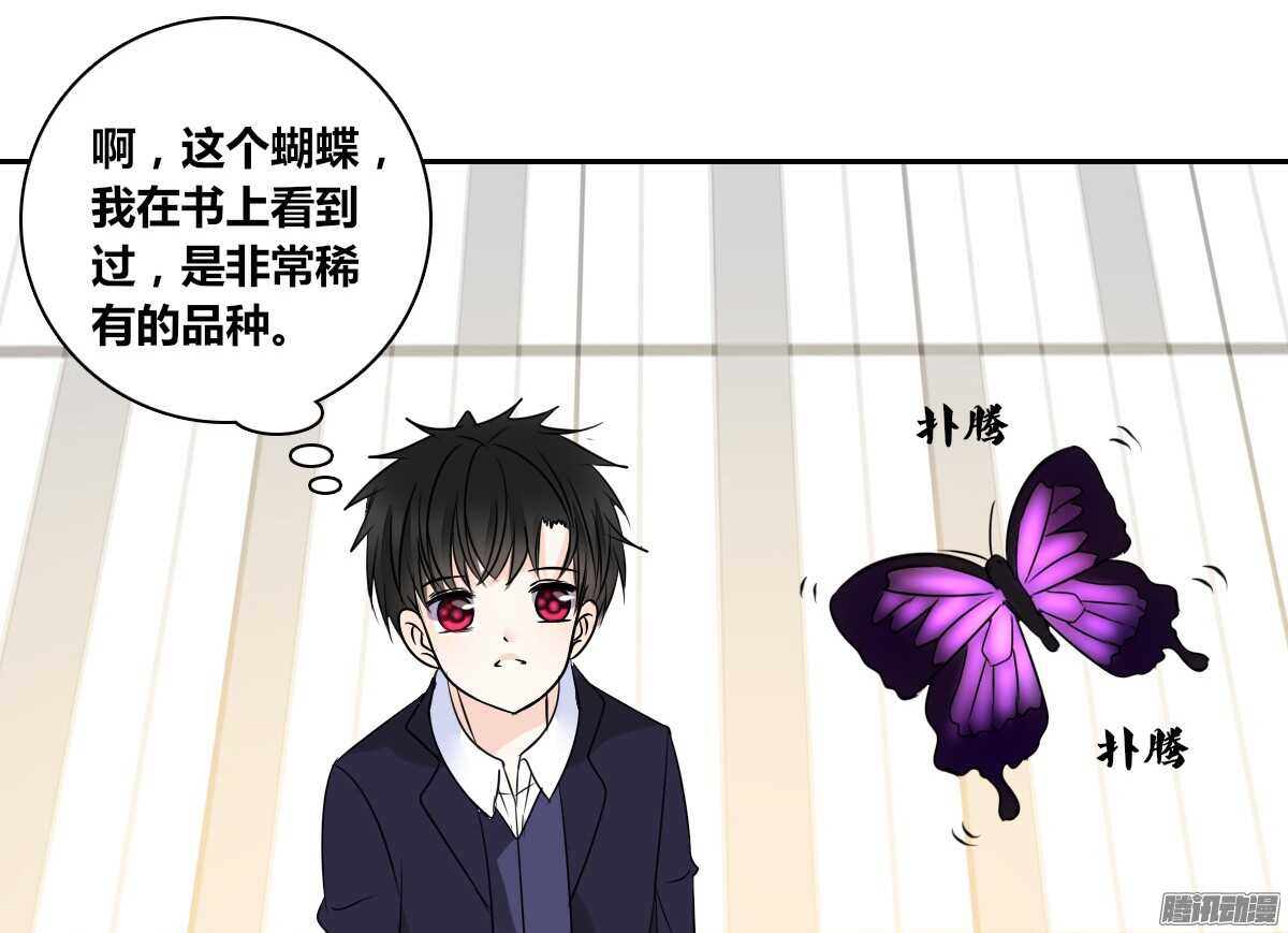 公主的女王命韩漫全集-小时候的你我他无删减无遮挡章节图片 