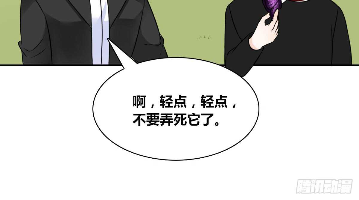 公主的女王命韩漫全集-零豪  上无删减无遮挡章节图片 