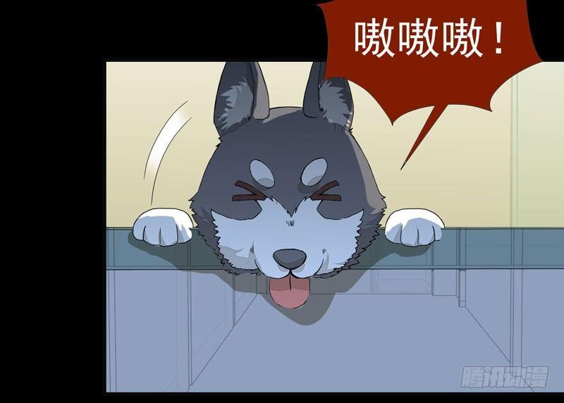公主是男人韩漫全集-第001章 防火防盗，防不了穿越无删减无遮挡章节图片 